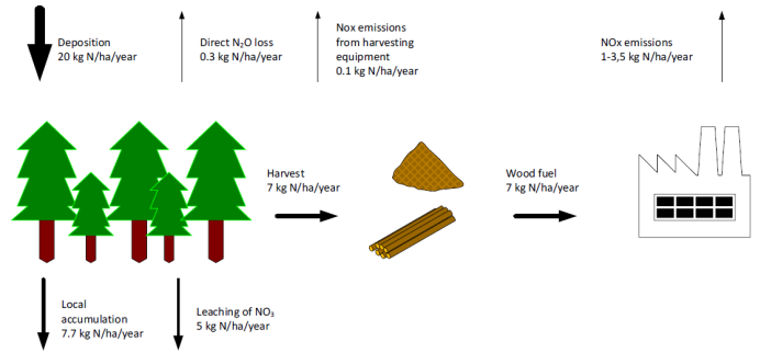 Nitrogen flows in biomass combustion systems – Full cycle perspective ...