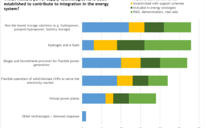 Implementation of flexible bioenergy in different countries