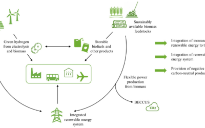 Defining bioenergy system services to accelerate the integration of bioenergy into a low-carbon economy